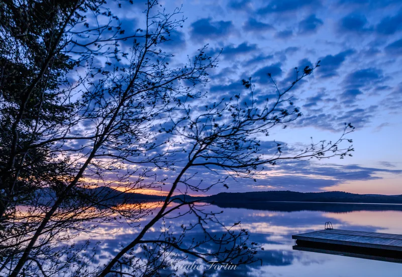 A calm lake at dawn with bare branches in silhouette, clouds reflected, and a small dock at the right.