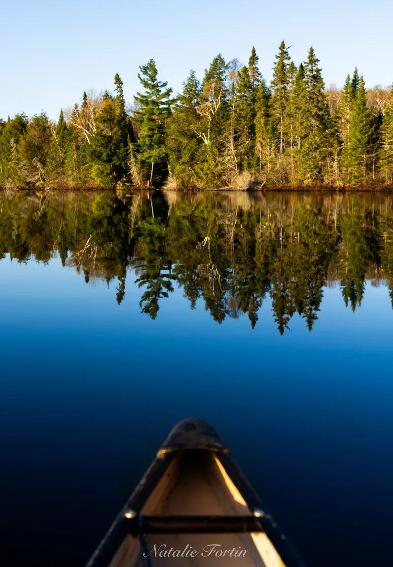 View from the bow of a canoe on glassy water toward a forested far shore reflected on the surface.