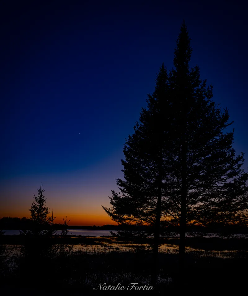 Spruce trees in silhouette against a deep blue-to-orange twilight sky, with still water in the foreground.